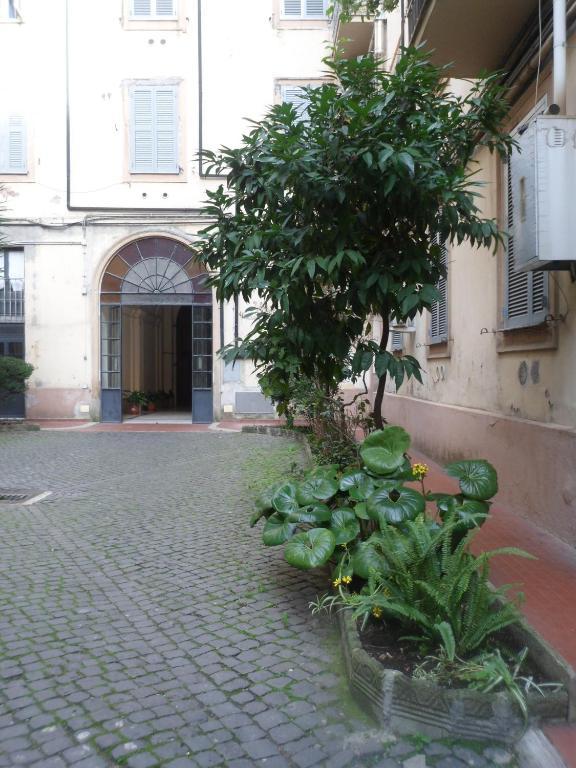 Giovy 2* Rome