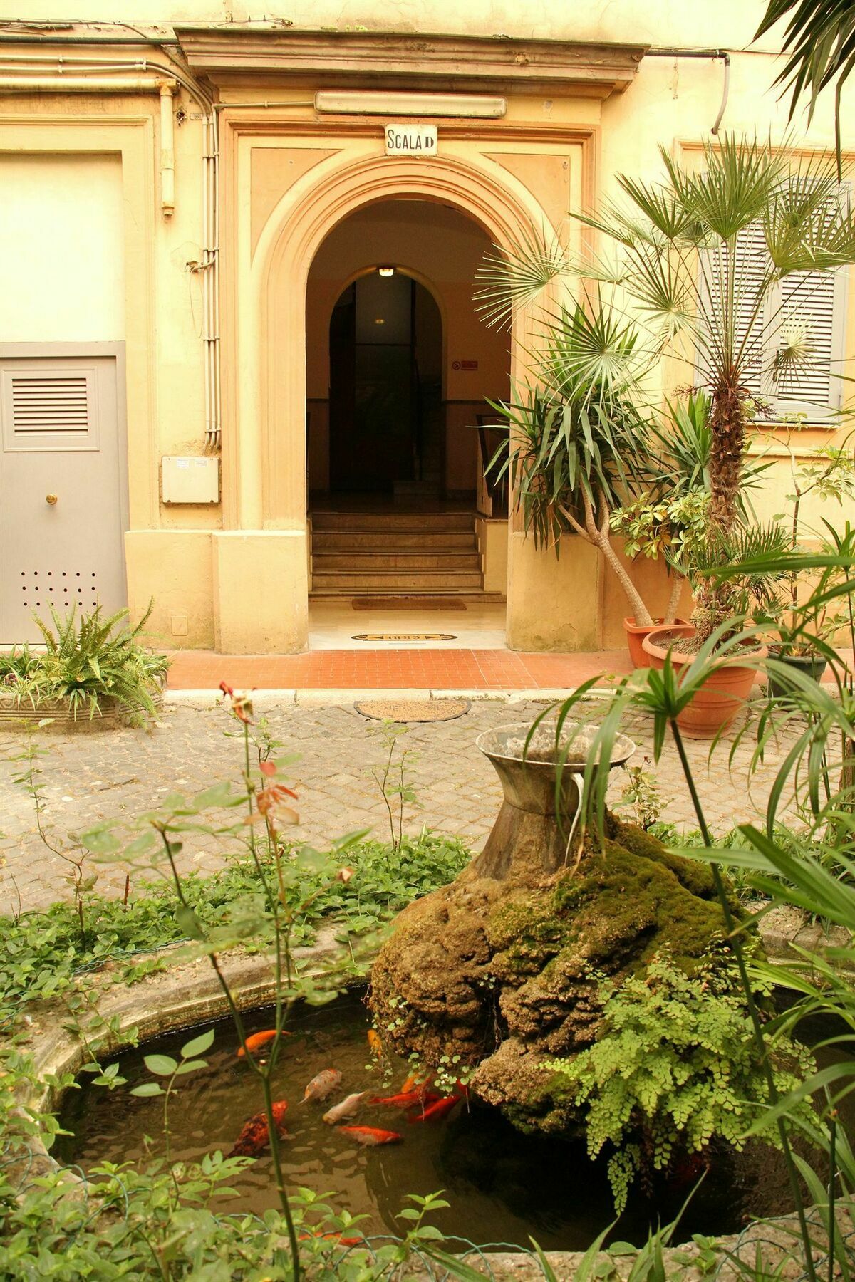 Giovy 2* Rome